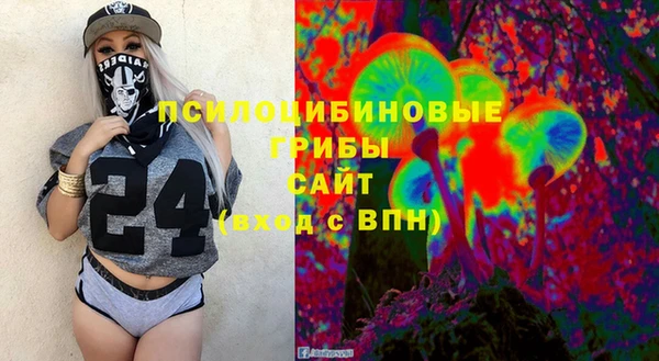 ГАЛЛЮЦИНОГЕННЫЕ ГРИБЫ Бородино