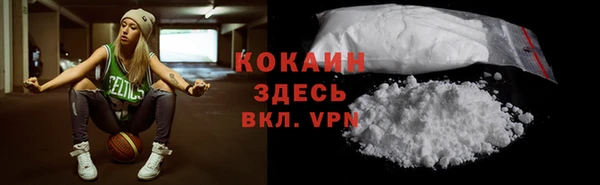 шишки Бронницы