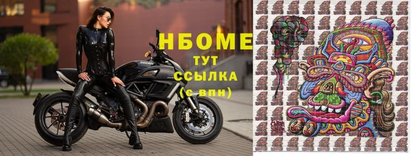 ГАЛЛЮЦИНОГЕННЫЕ ГРИБЫ Бородино