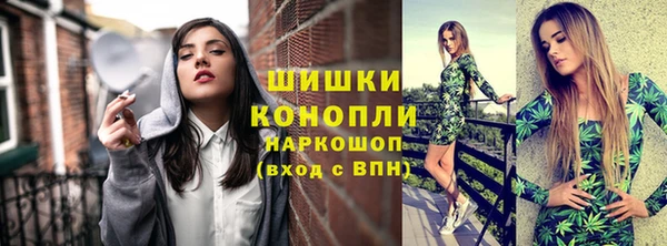шишки Бронницы