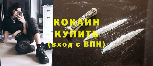 шишки Бронницы