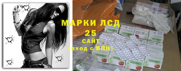 ГАЛЛЮЦИНОГЕННЫЕ ГРИБЫ Бородино