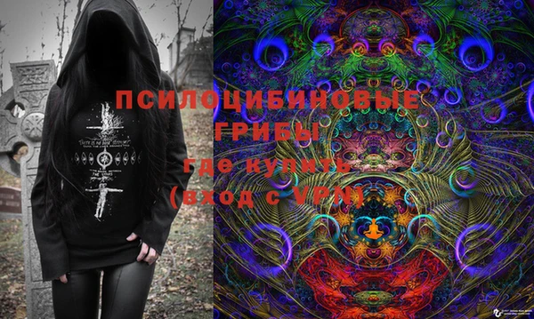 шишки Бронницы