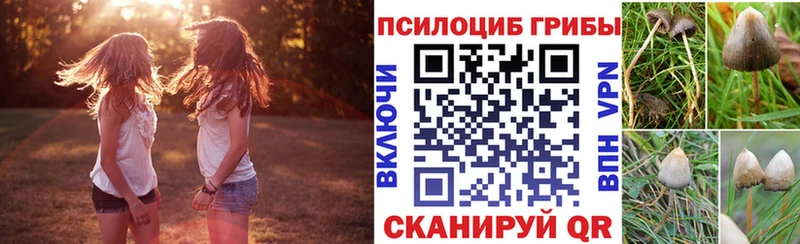 Псилоцибиновые грибы Magic Shrooms  Купить  Палласовка 
