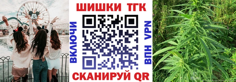 Купить  Палласовка  Бошки Шишки план 